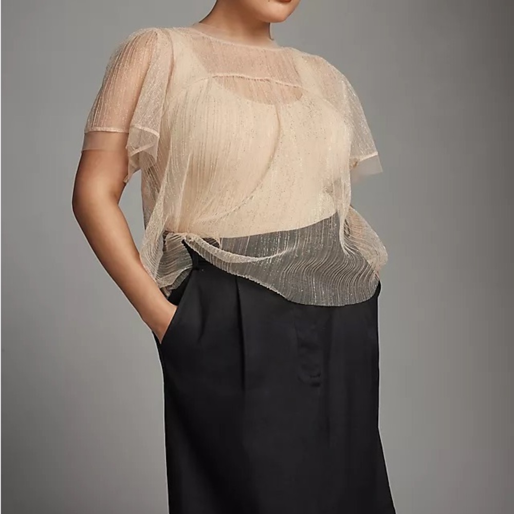 EUC Sarah Hann Jody Sheer Top from Anthropologie size M